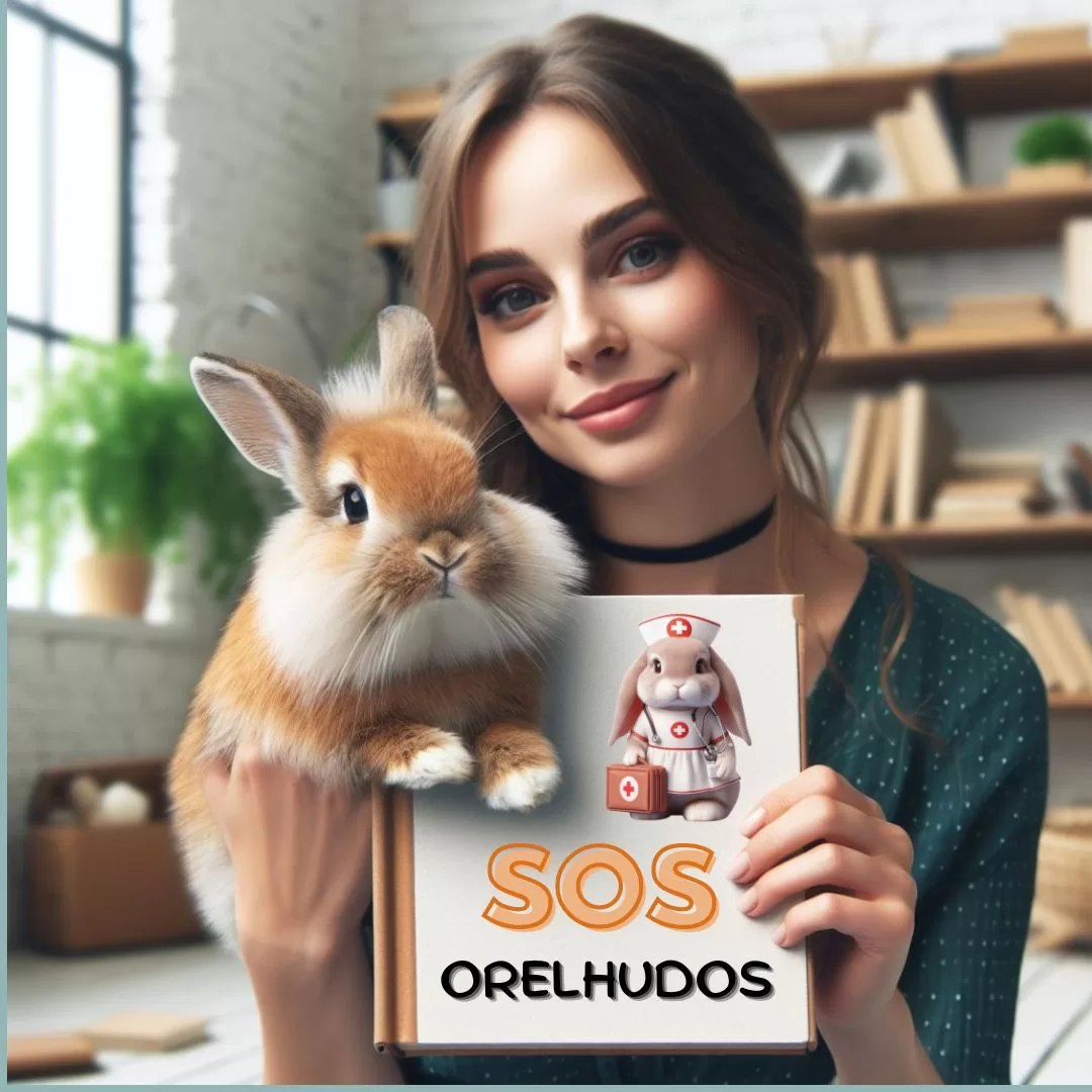 Como identificar doenças em coelhos