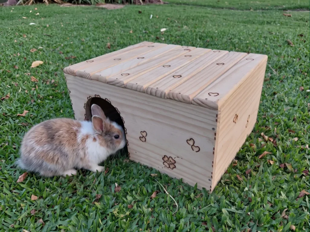 Casinha de madeira para coelhos anões, porquinhos e chinchilas